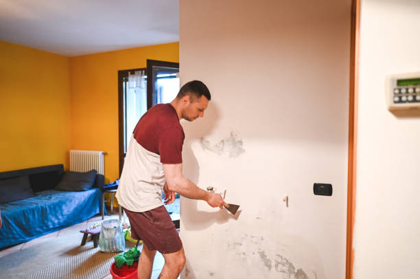 Certified Mold Removal in Summerlin South, NV