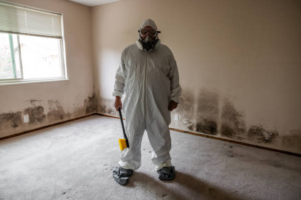 Best Certified Mold Removal  in Summerlin South, NV